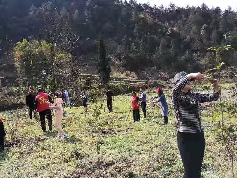 微信图片_20210316155141.jpg